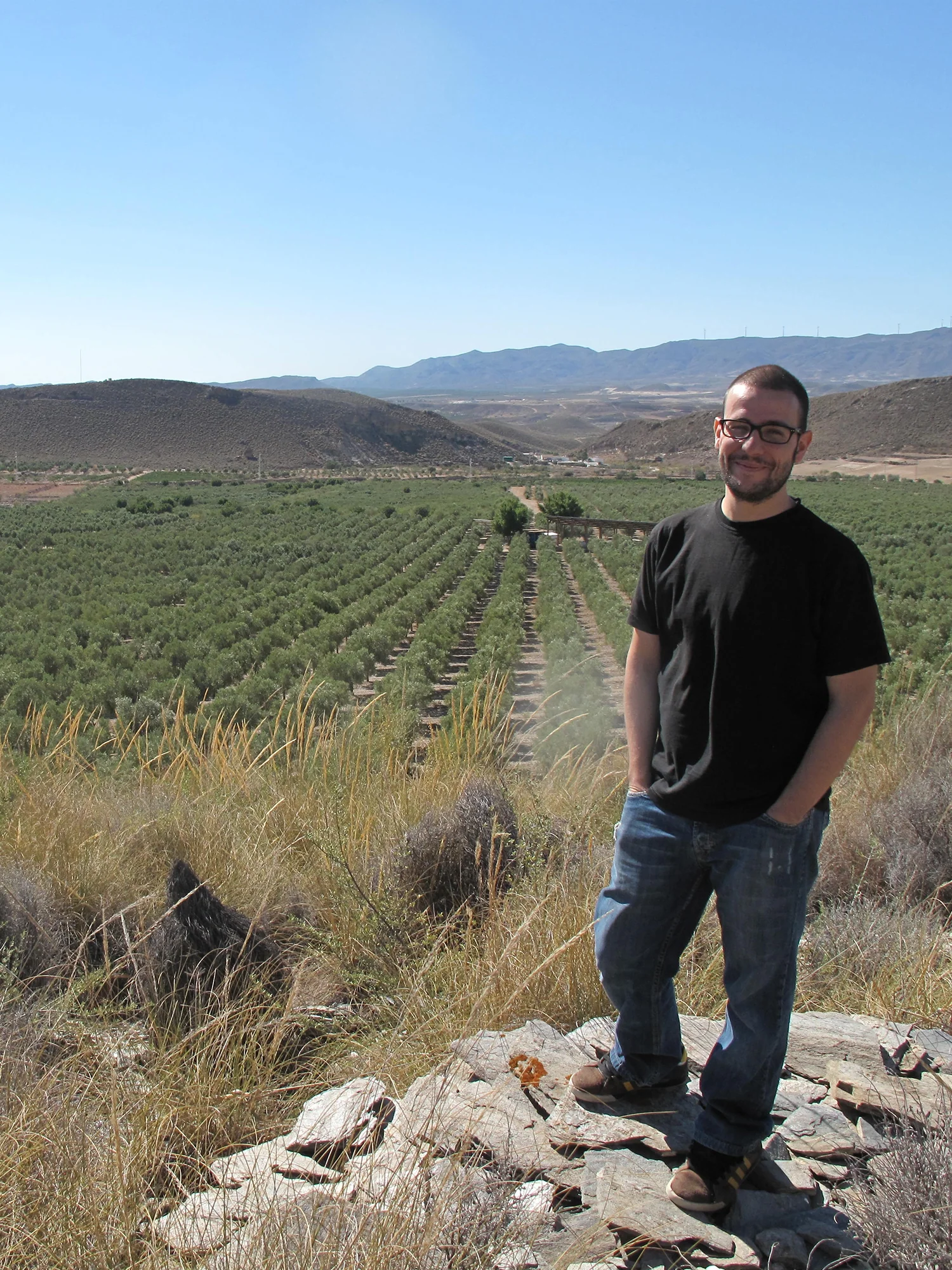 Oro del Desierto Organic Picual - Image 3
